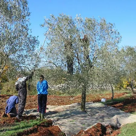 Vikendica Melisa 4 By Interhome *