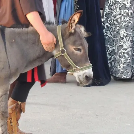 Melisa 4 By Interhome Porec