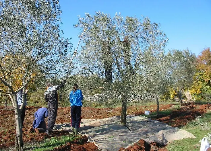 Vikendica Melisa 4 By Interhome *