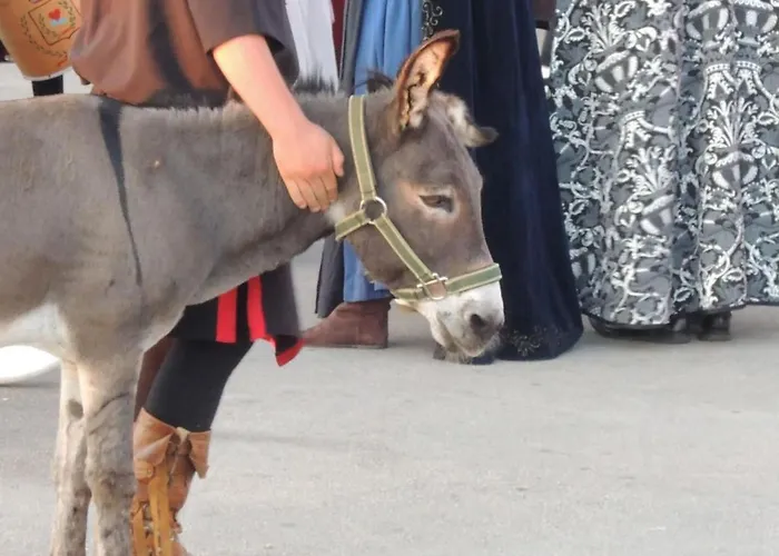 Melisa 4 By Interhome Porec